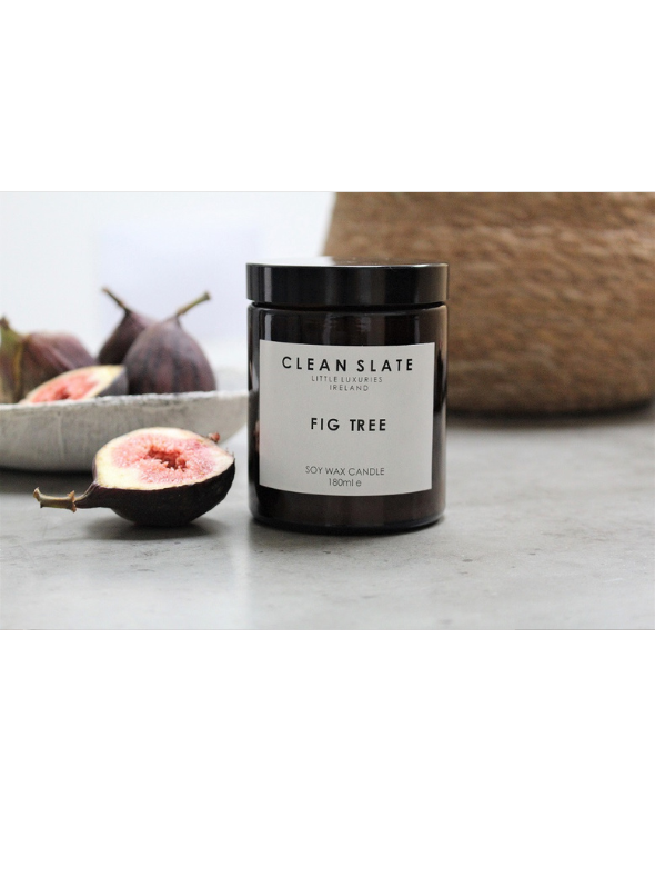 Clean Slate Fig Tree