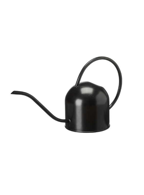Daisy Watering Can - Black