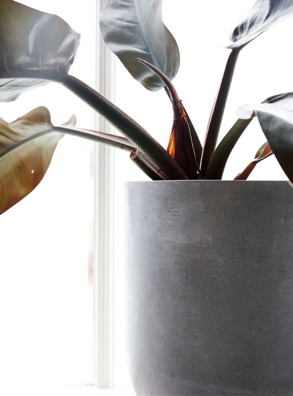 Set of Gard Planters
